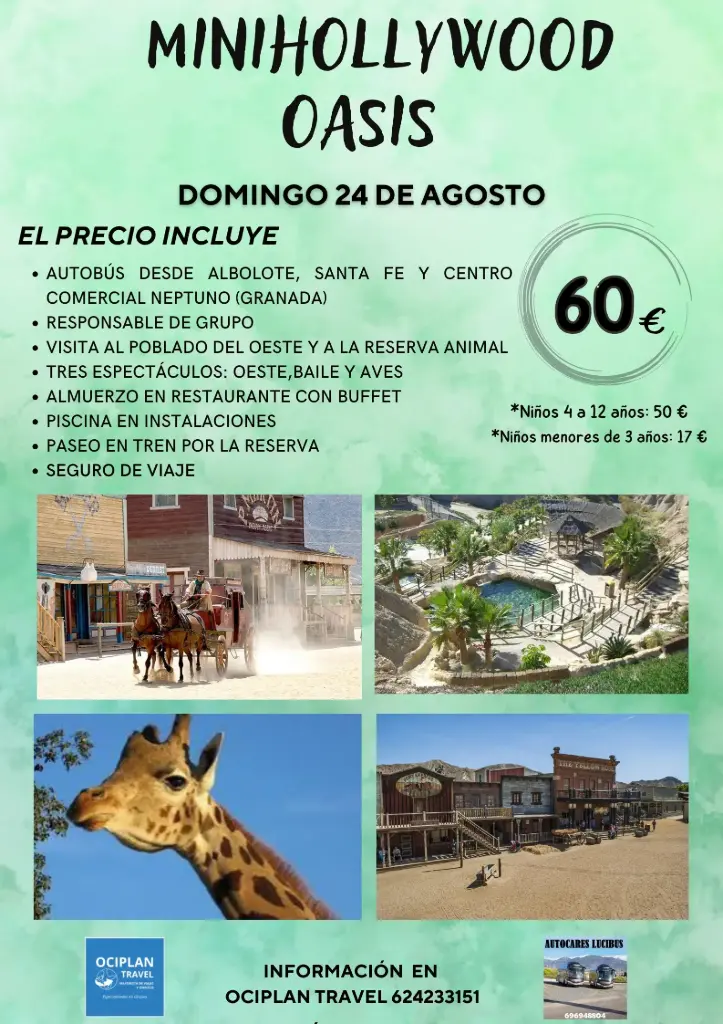 PIÑAR (copia)