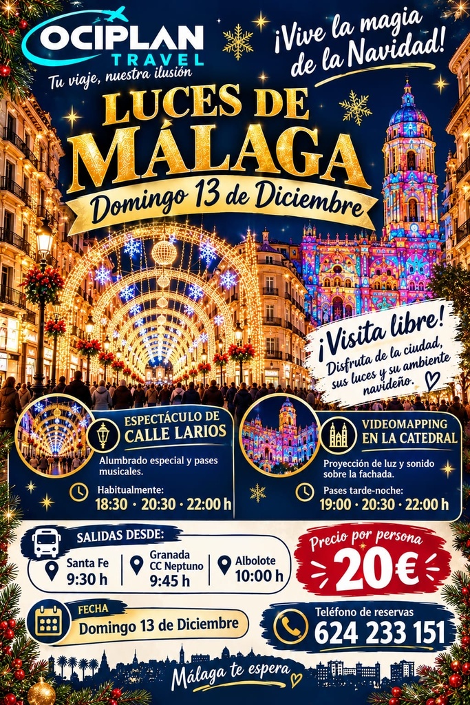 MÁLAGA: LUCES DE NAVIDAD